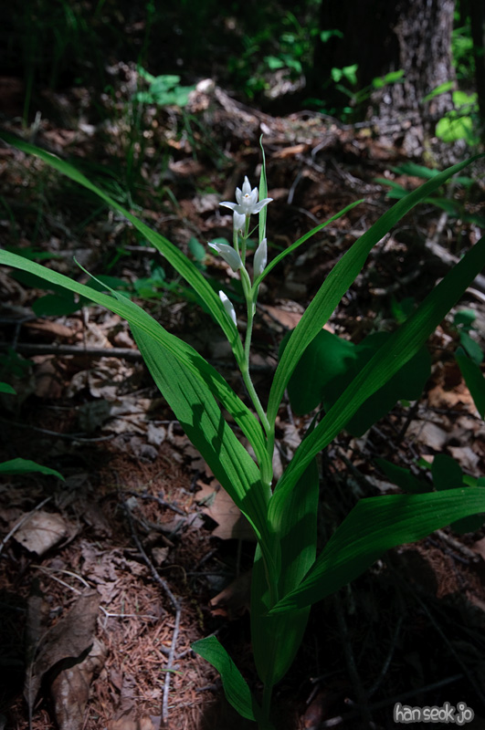DSC_6848.jpg