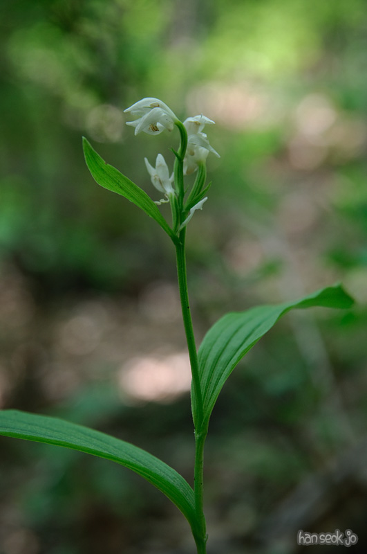 DSC_6340.jpg