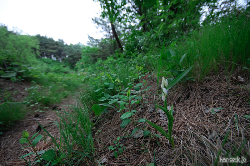 DSC_6415.jpg