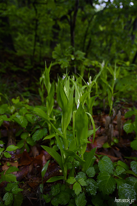 DSC_2593.jpg