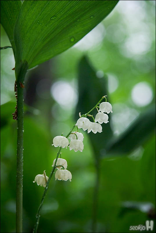 DSCF3753.jpg