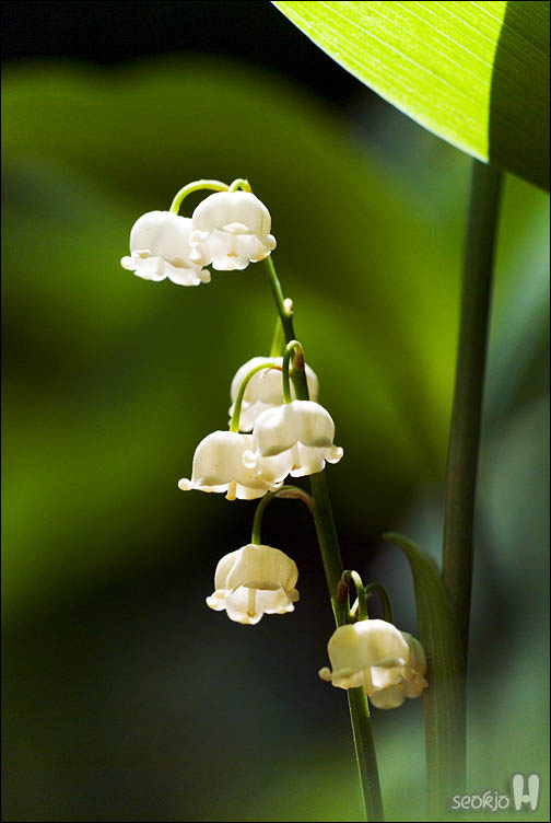 DSCF8388.jpg