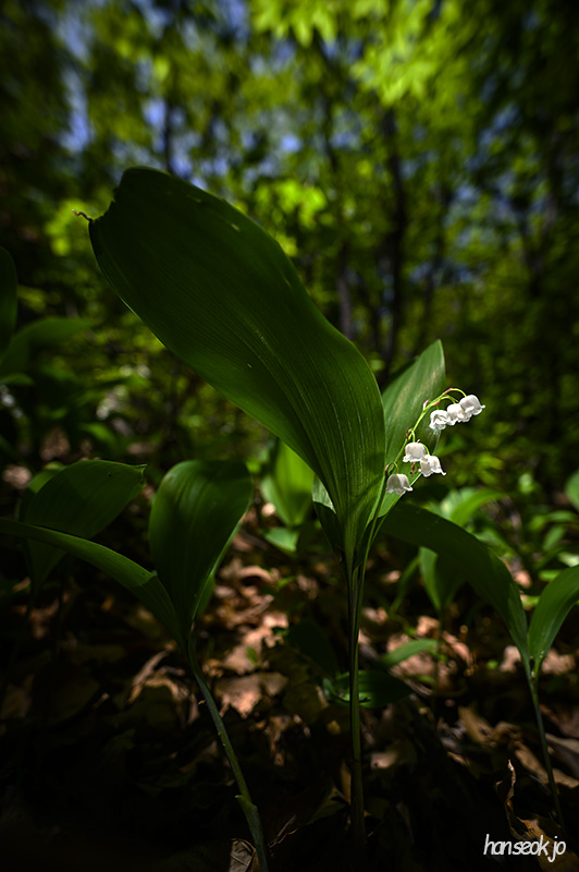DSC_2547.jpg