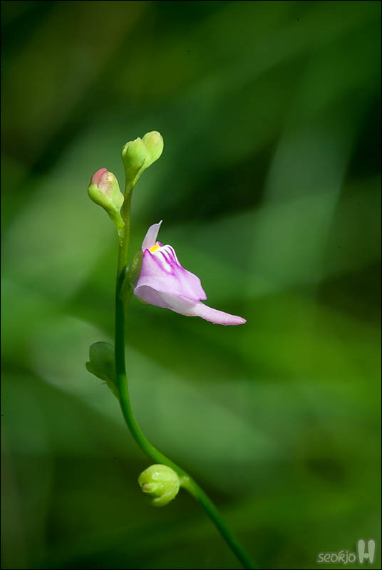 DSCF4928.jpg