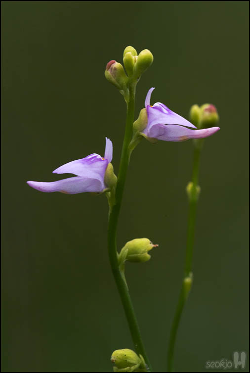 DSCF3101.jpg