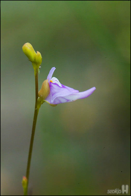 DSCF8858.jpg