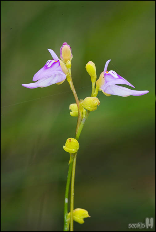 DSCF8863.jpg