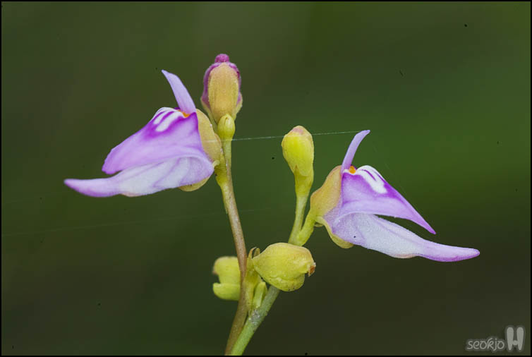 DSCF8865.jpg