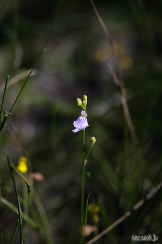 HSJ_0269.jpg