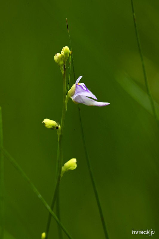DSC_1314.jpg