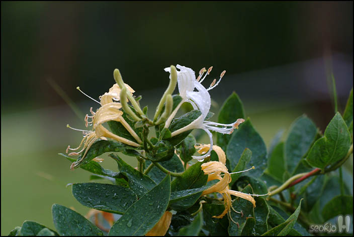 DSCF3998.jpg