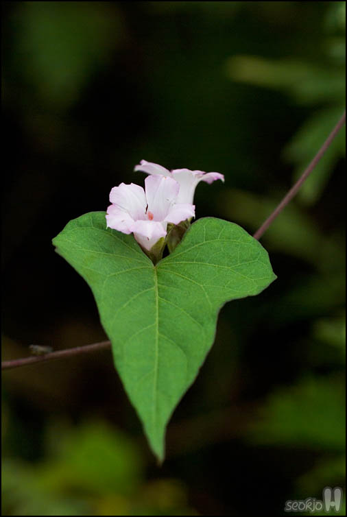 DSCF3765.jpg