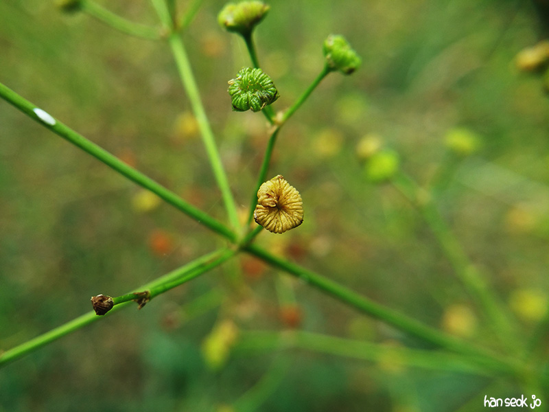 20170827_141240.jpg