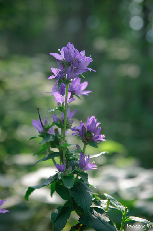 DSC_8074.jpg