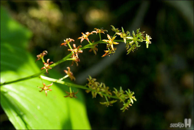 DSCF9453.jpg