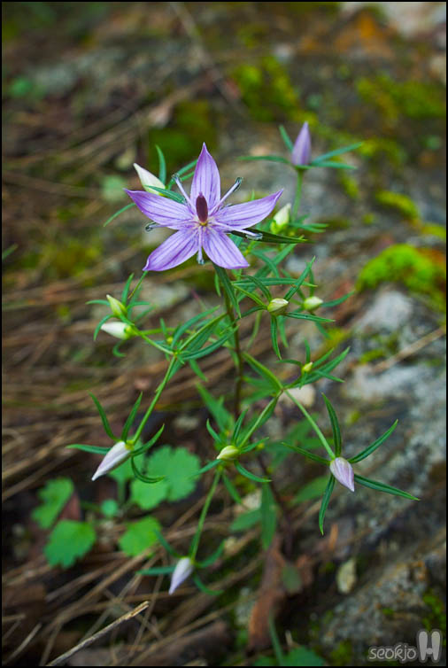 DSCF9157.jpg