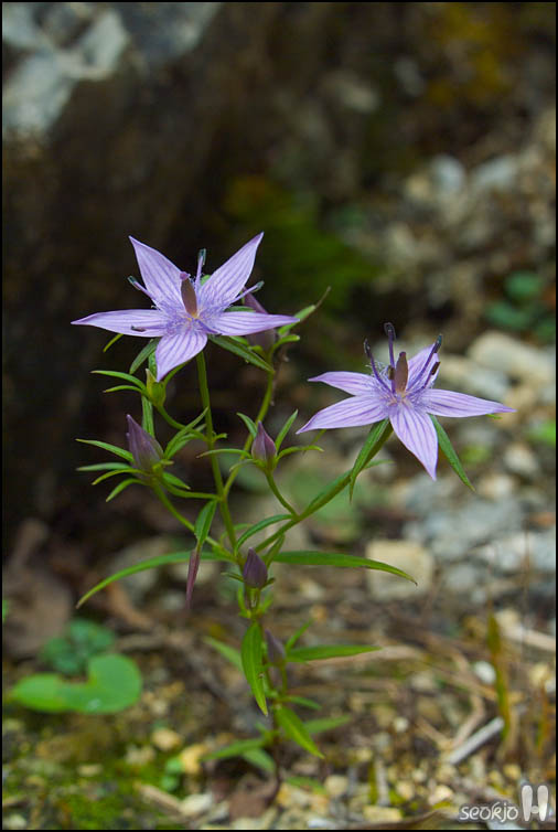 DSCF9675.jpg