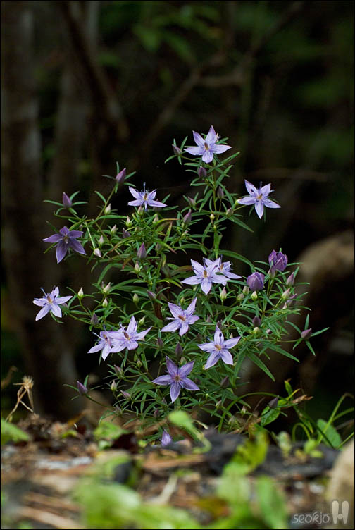 DSCF4051.jpg