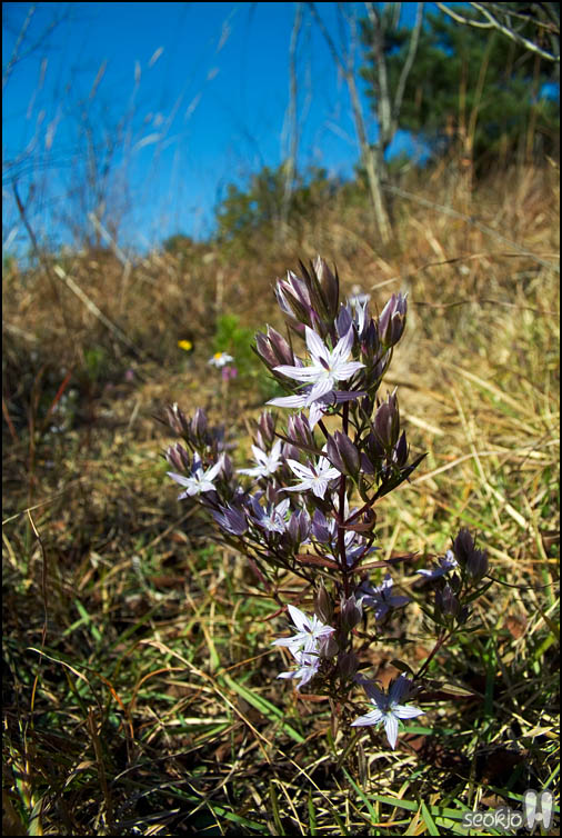 DSCF4656.jpg