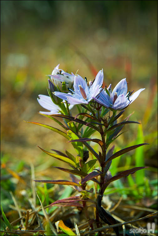 DSCF1153.jpg