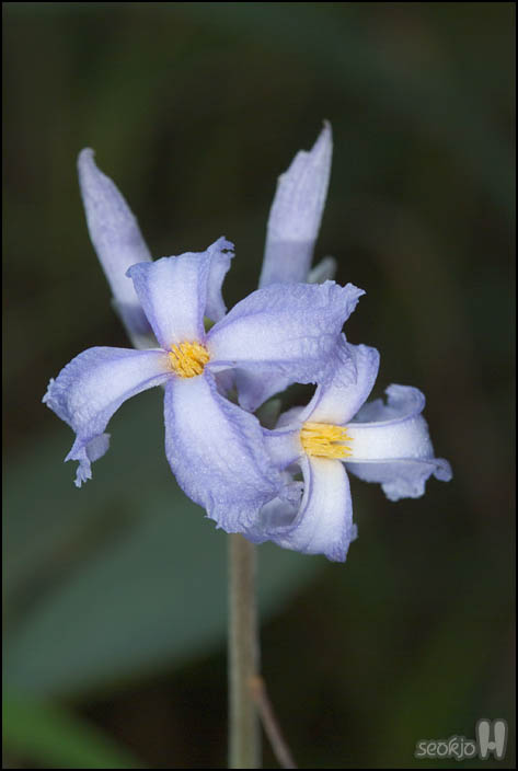 DSCF8891.jpg