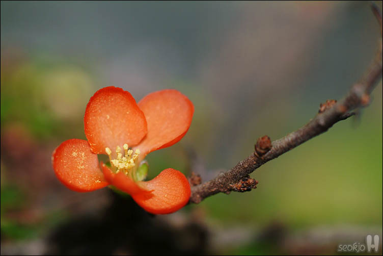 DSCF5609.jpg