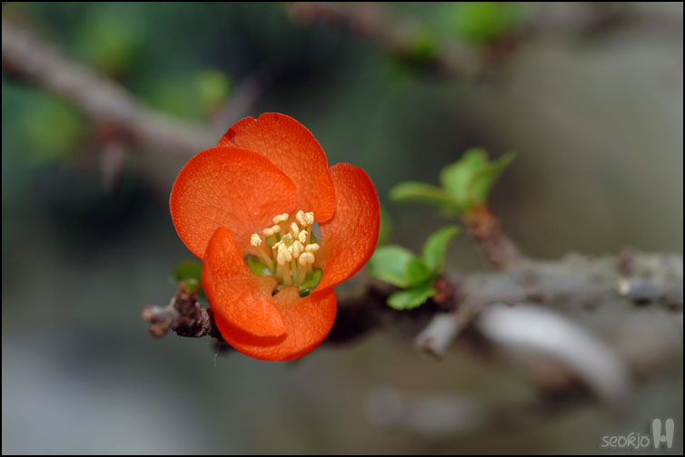 DSCF1533.jpg