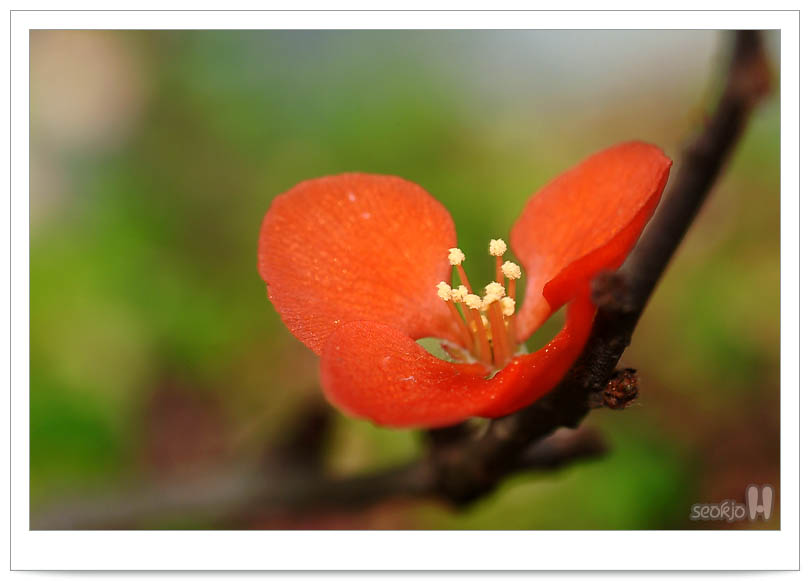 DSCF5381.jpg