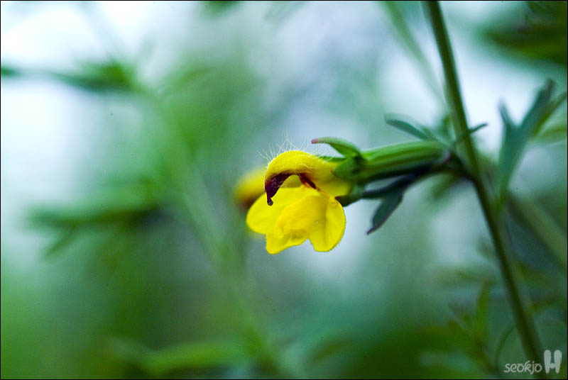 DSCF4659.jpg