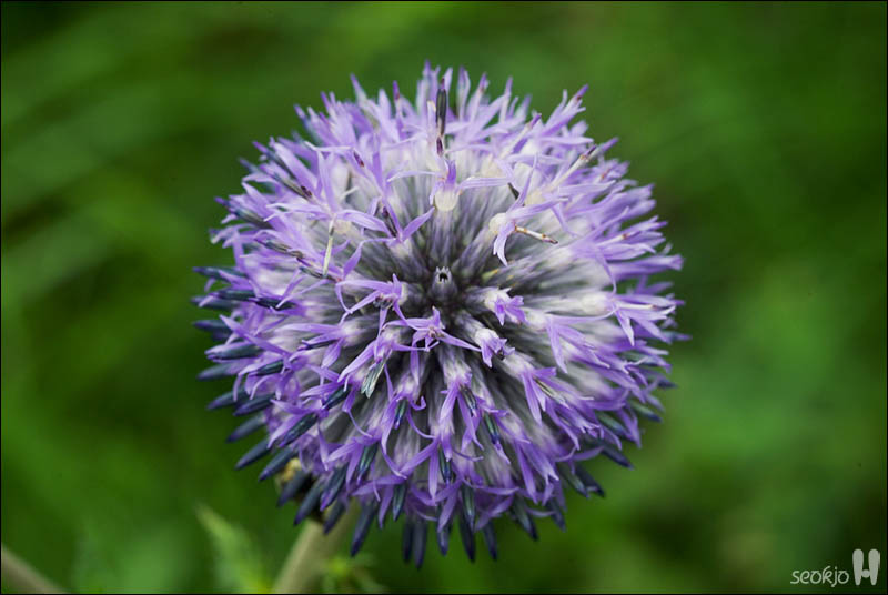 DSCF4713.jpg