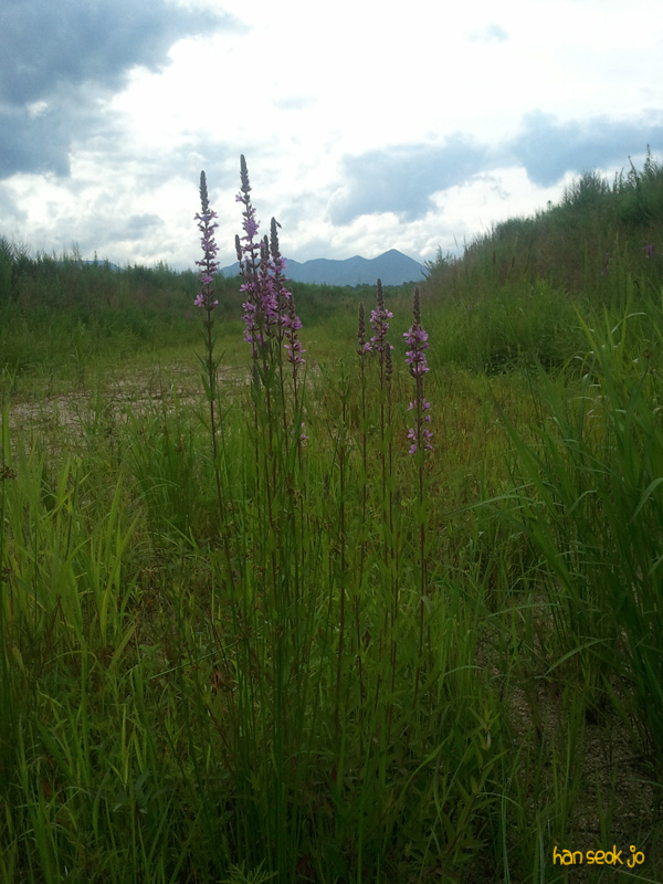 2010-07-18 16.20.59.jpg