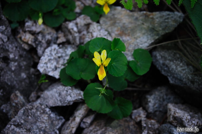 HSJ_0410.jpg