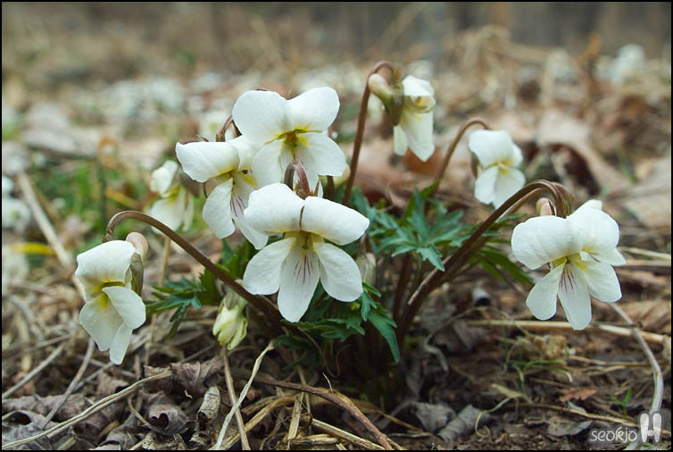 DSCF5871.jpg