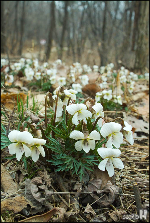 DSCF5872.jpg