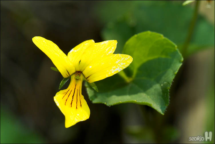 DSCF9478.jpg