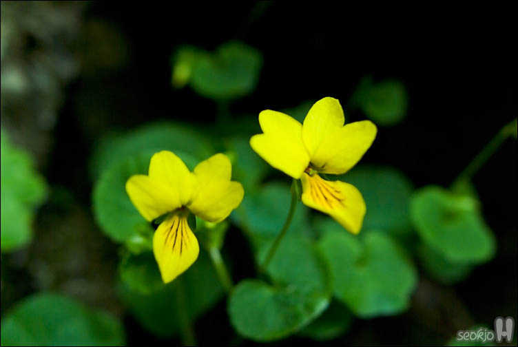 DSCF9455.jpg