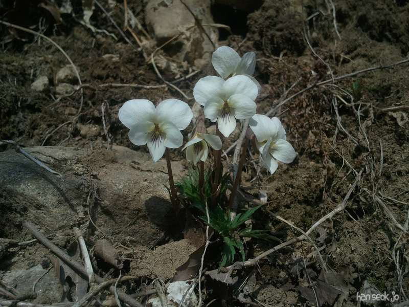2011-04-09.jpg