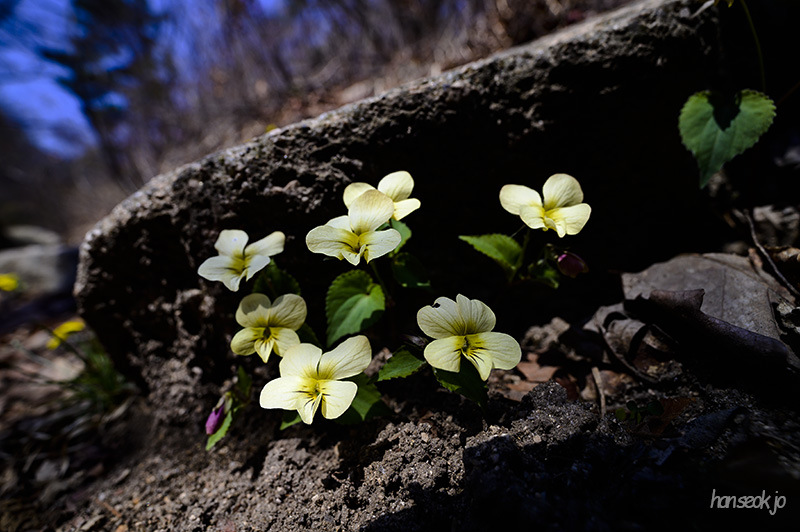 DSC_1898.jpg