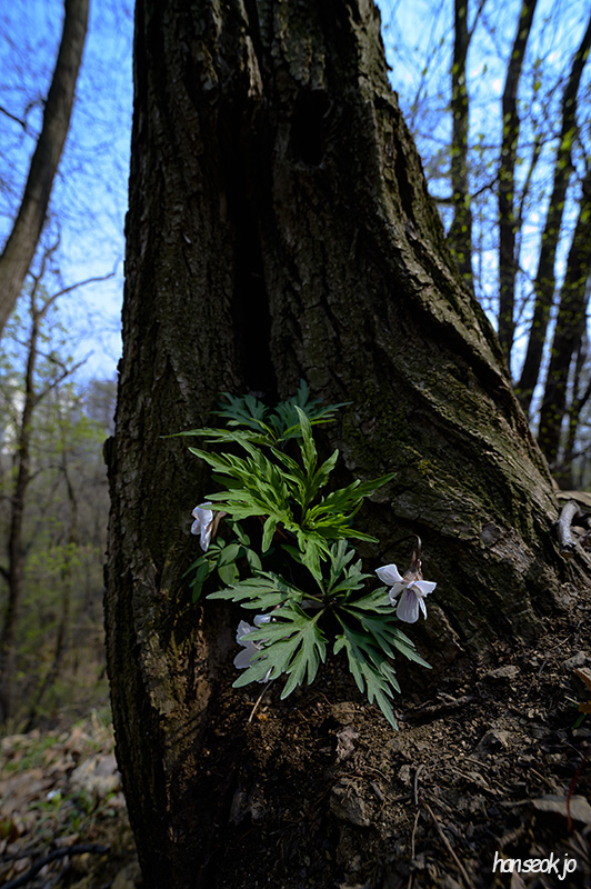 DSC_1953.jpg