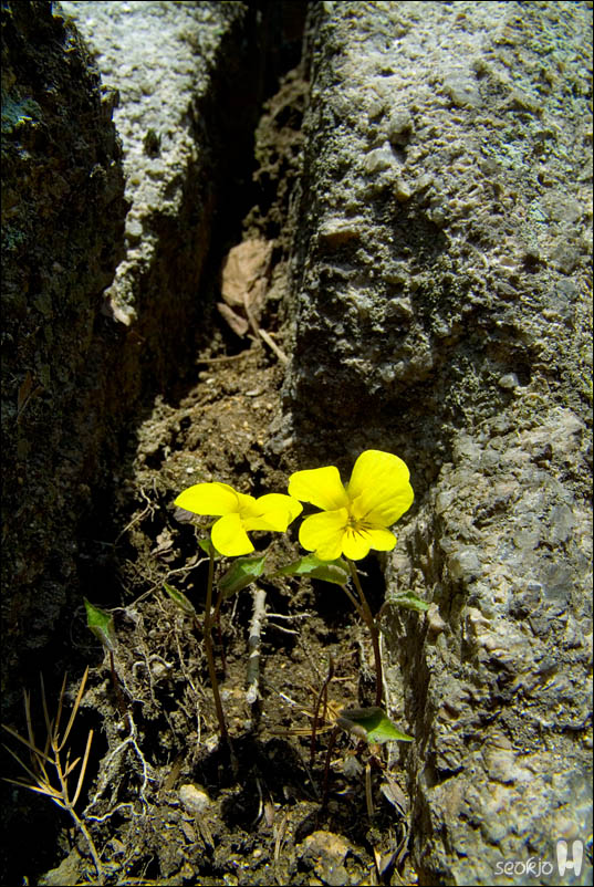 DSCF3050.jpg