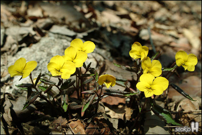 DSCF5815.jpg
