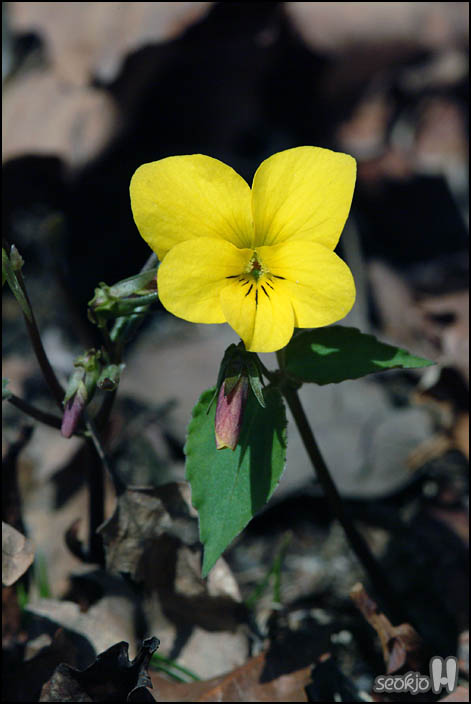 DSCF5819.jpg