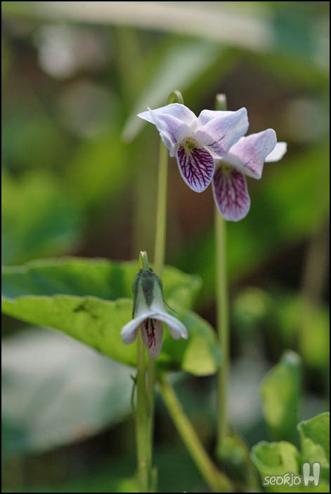 DSCF6281.jpg