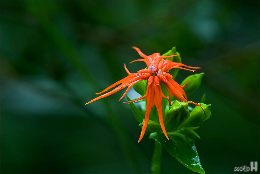 DSCF4716.jpg
