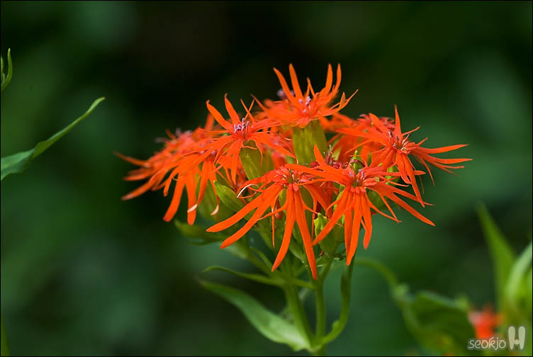 DSCF9967.jpg