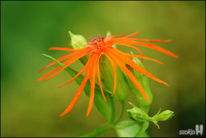 DSCF1207.jpg