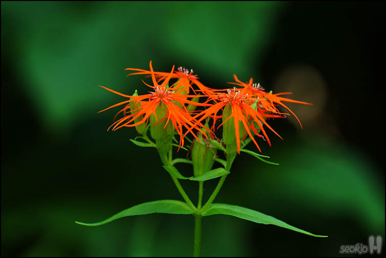 DSCF3218.jpg