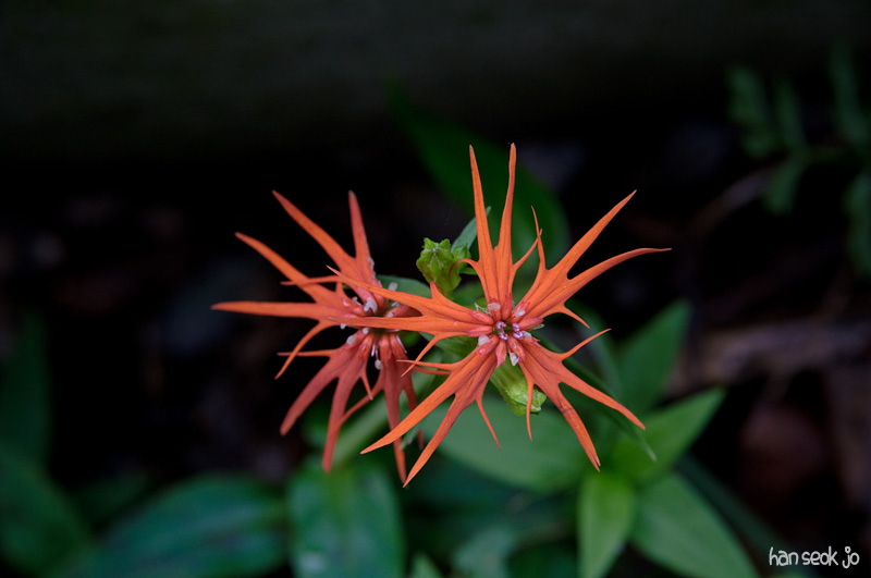 DSC_3584.jpg