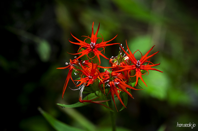 DSC_1227.jpg