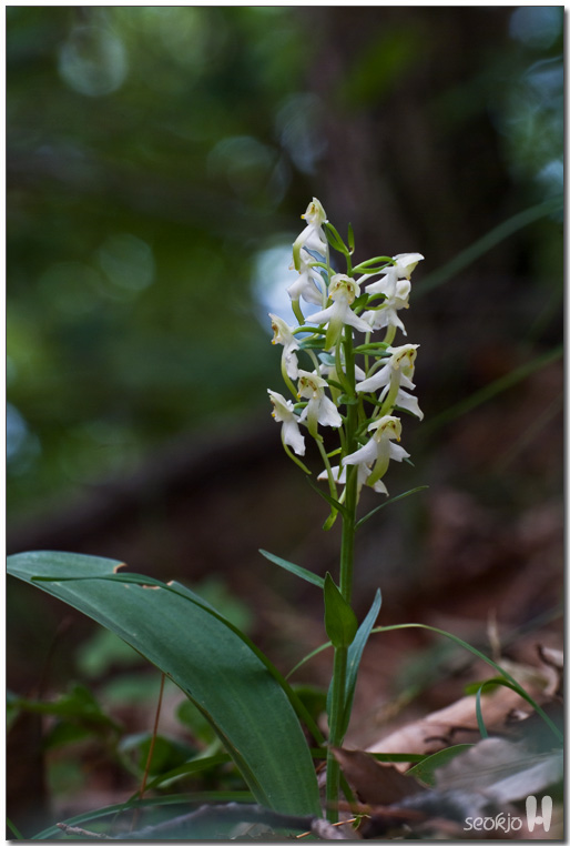 DSCF8875.jpg